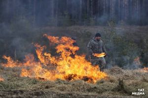 Жителям РТ напомнили о запрете на сжигание сухой травы и мусора с 22 апреля по 12 мая